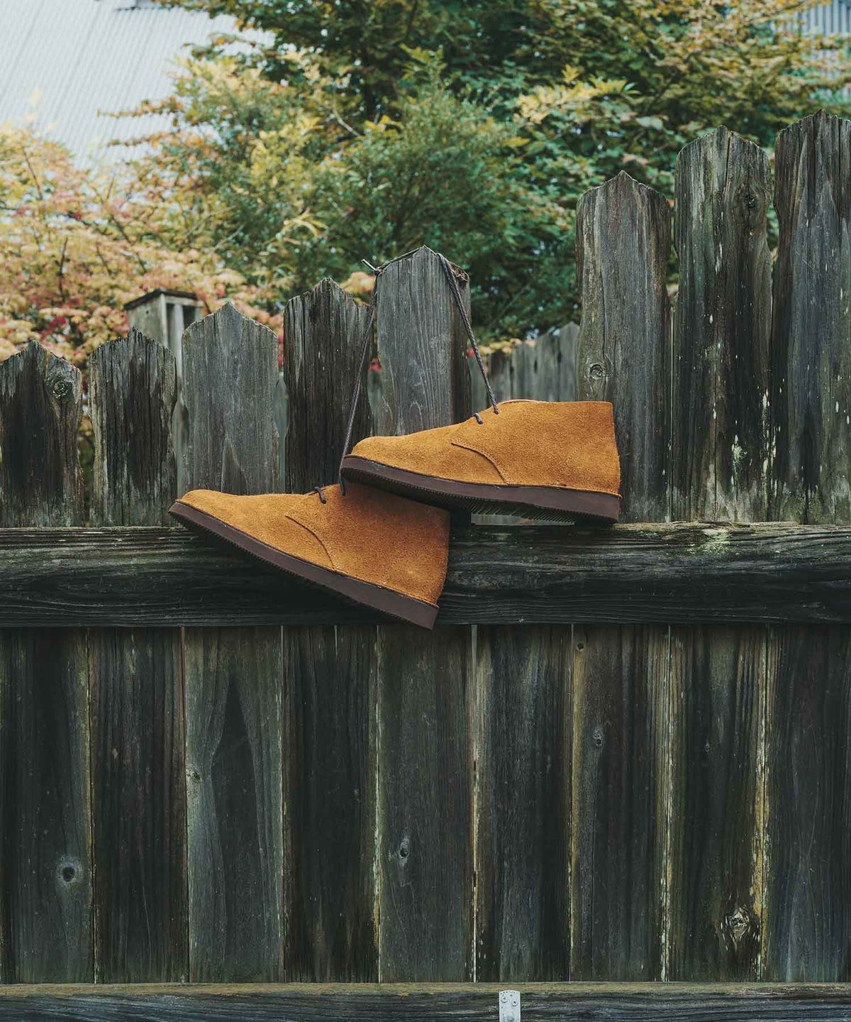IVES 【26FW NEW】